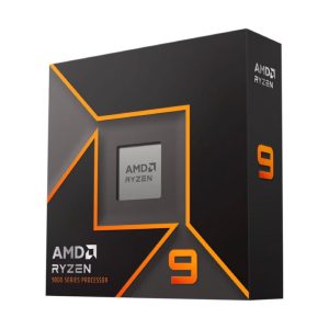 Procesador AMD Ryzen 9 9900X